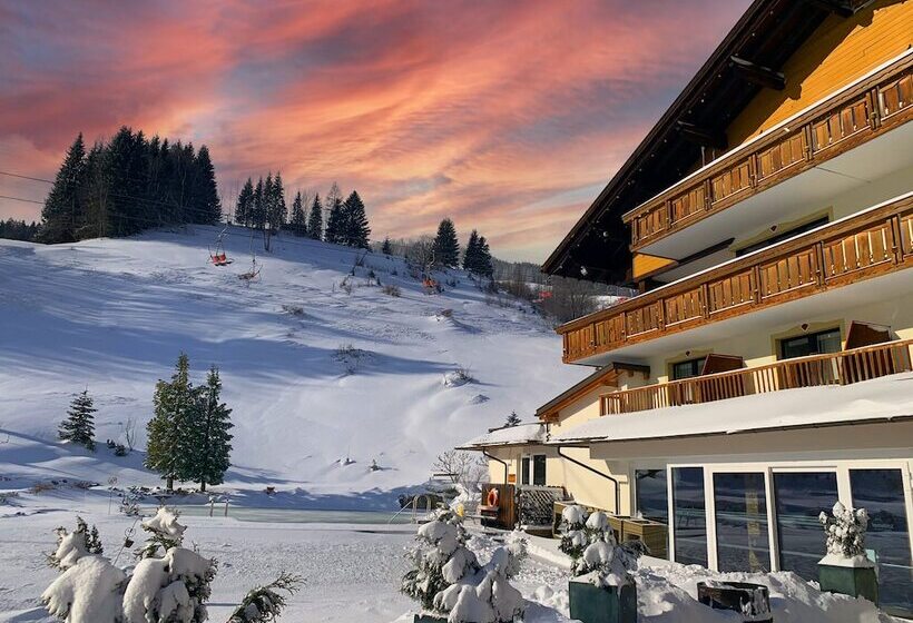 Alpinresort Schillerkopf