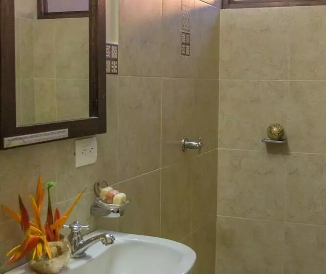 Amazon Bed And Breakfast