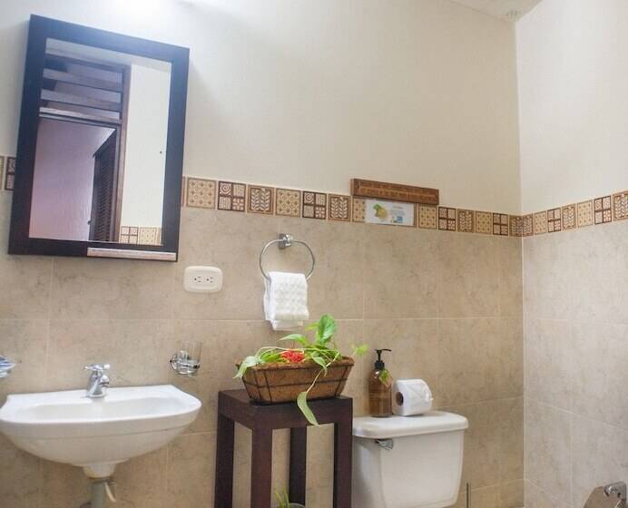 Amazon Bed And Breakfast