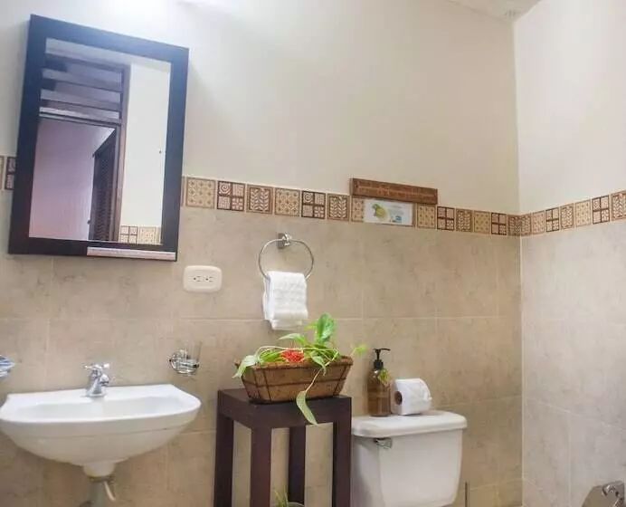 Amazon Bed And Breakfast