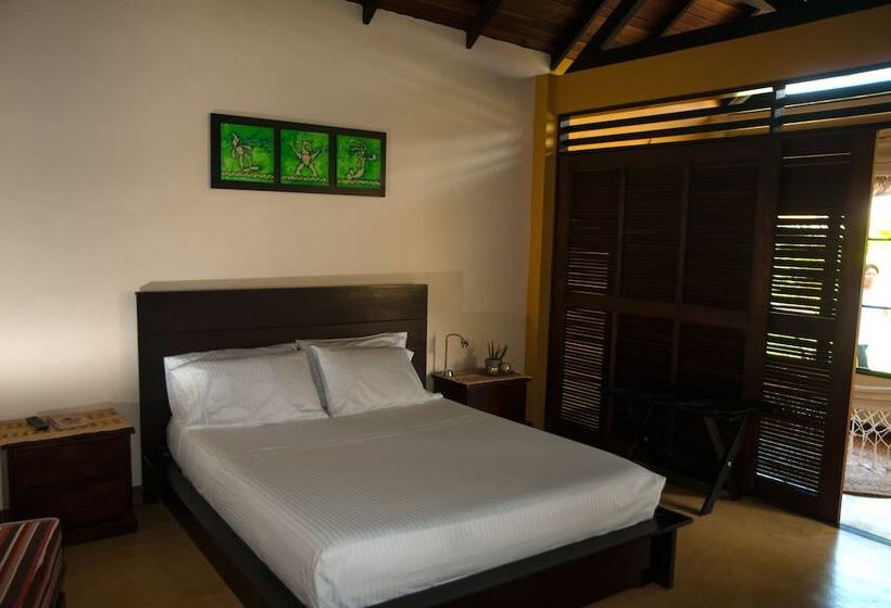 Amazon Bed And Breakfast