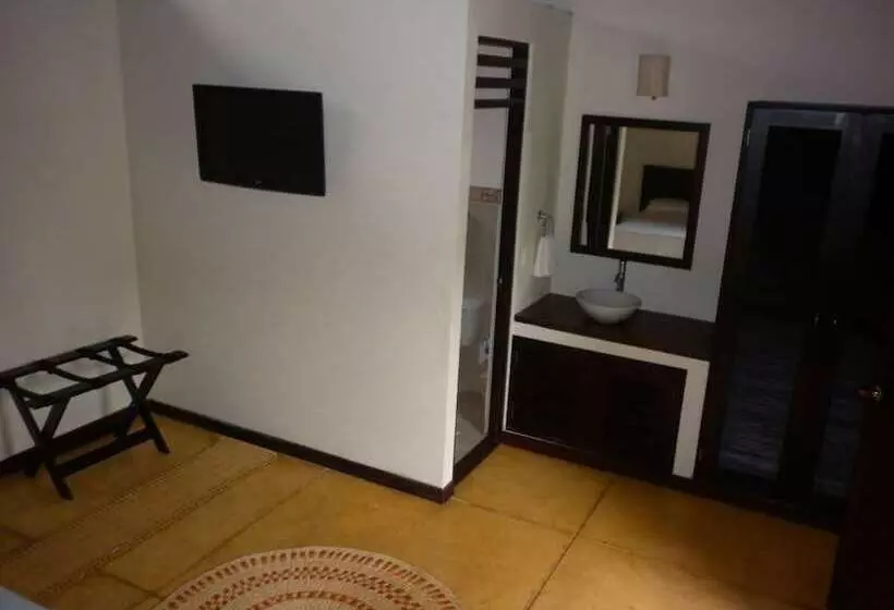 Amazon Bed And Breakfast