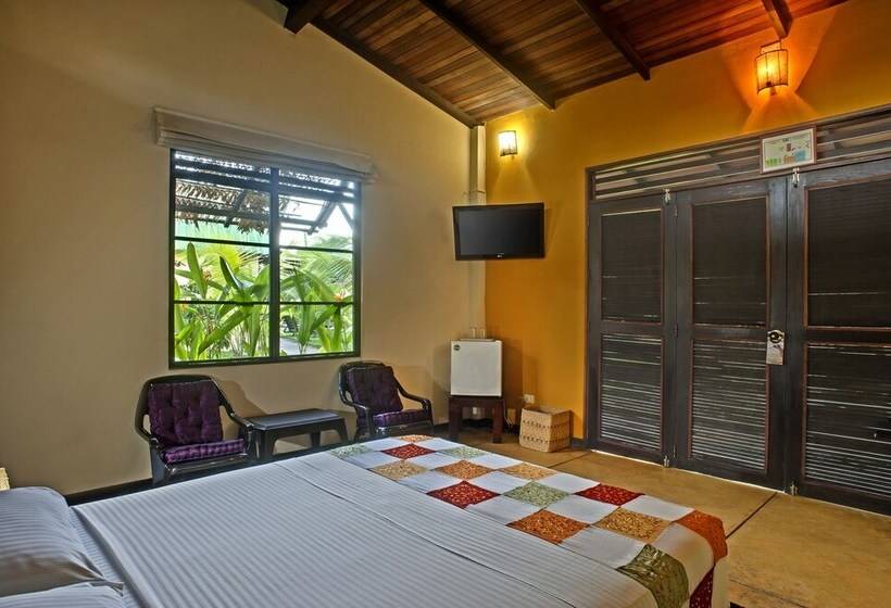 Amazon Bed And Breakfast