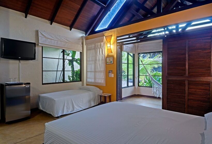 Amazon Bed And Breakfast