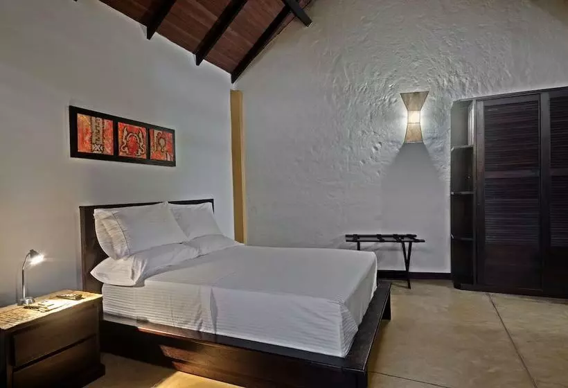 Amazon Bed And Breakfast