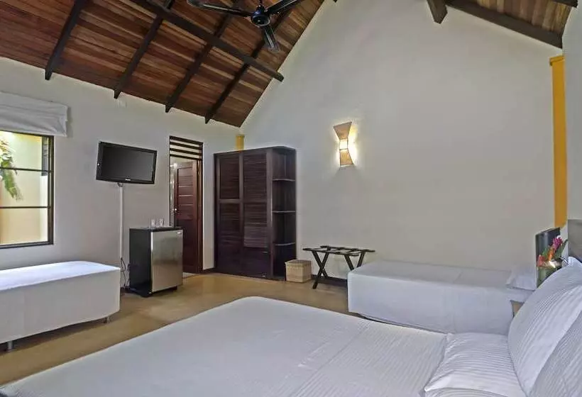 Amazon Bed And Breakfast