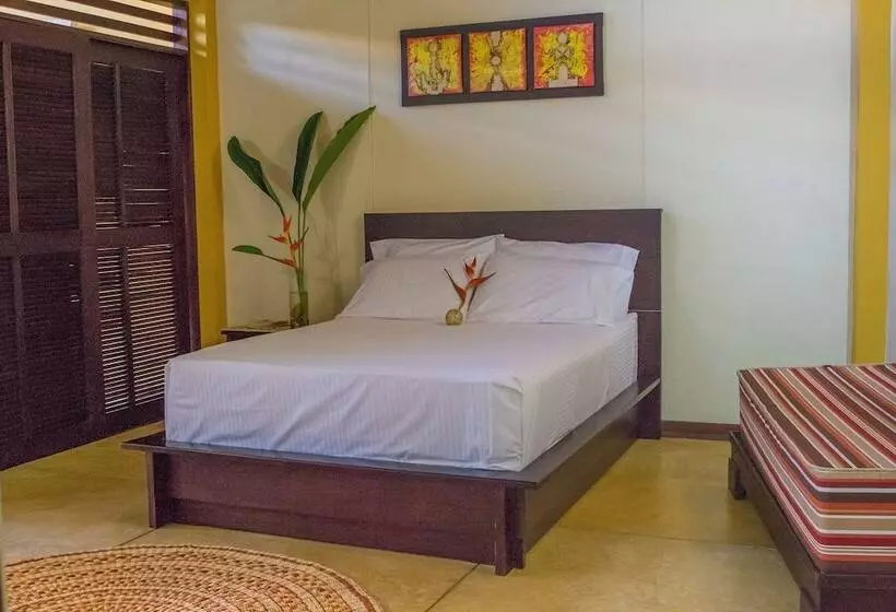 Amazon Bed And Breakfast