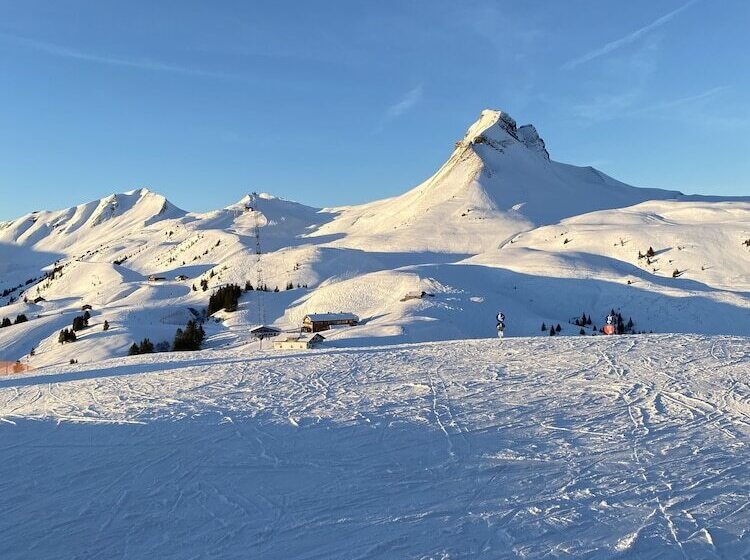 Aparthotel Alpinresort Damüls