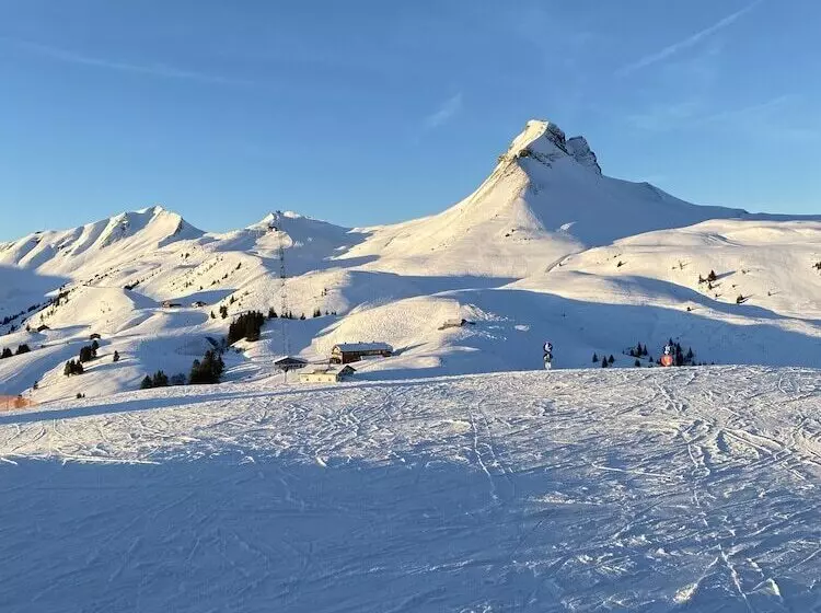 Aparthotel Alpinresort Damüls