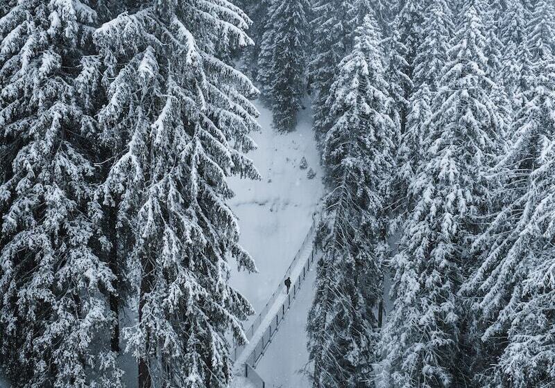 Aparthotel Alpinresort Damüls