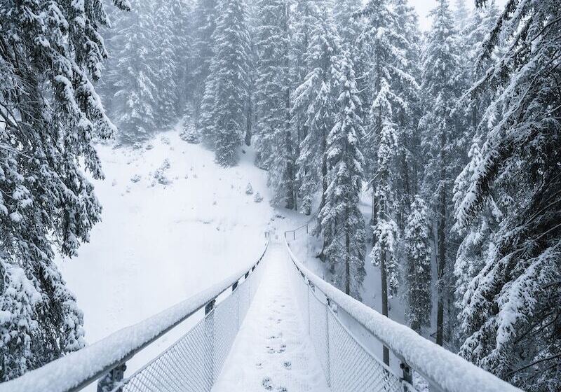 Aparthotel Alpinresort Damüls