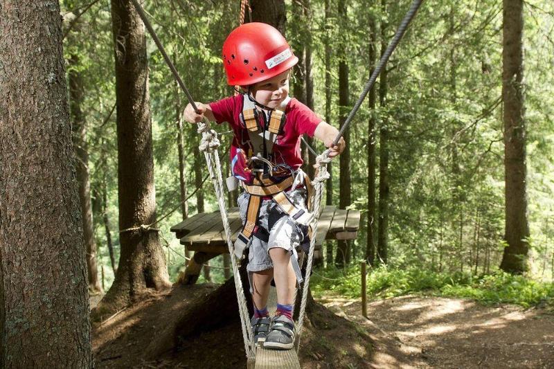 Aparthotel Alpinresort Damüls