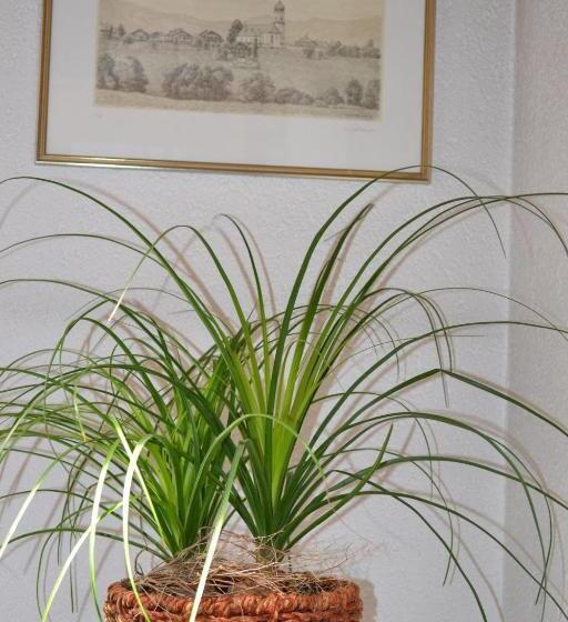 Bed and Breakfast Gästehaus Pension Barbara