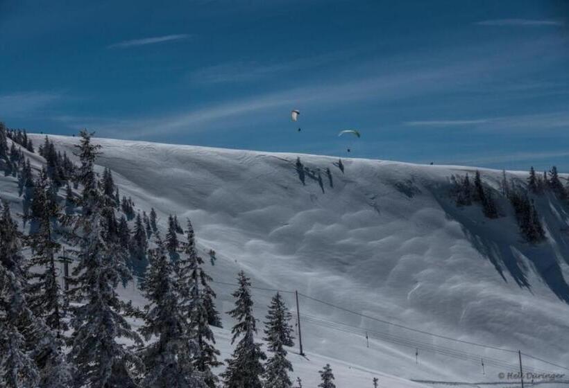 Bed and Breakfast Gästehaus Pension Barbara