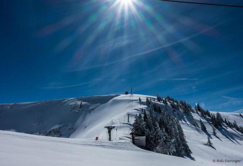 Bed and Breakfast Gästehaus Pension Barbara