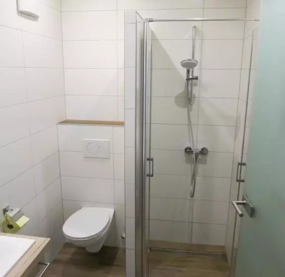 צימר Pension Lang