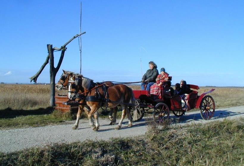 Bed and Breakfast Pension Lang