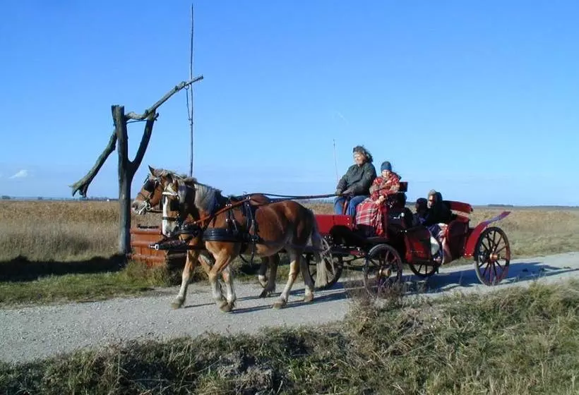 צימר Pension Lang