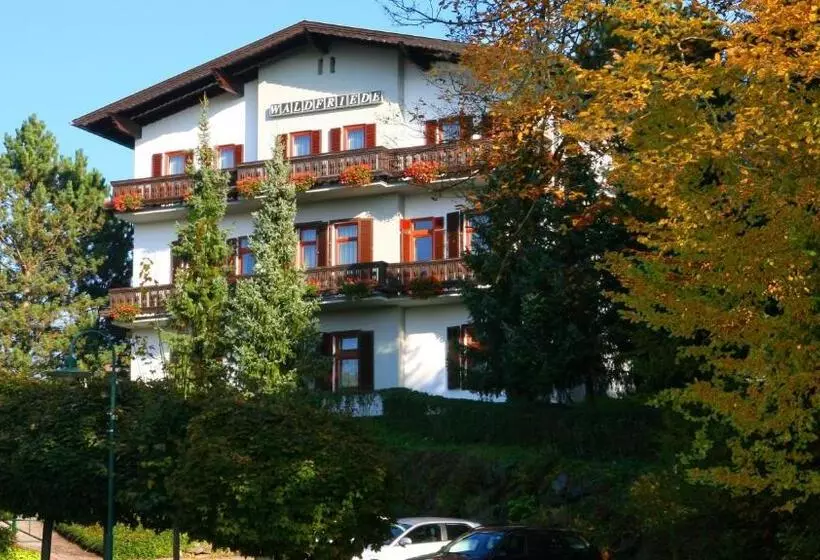 Bed and Breakfast Pension Waldfriede