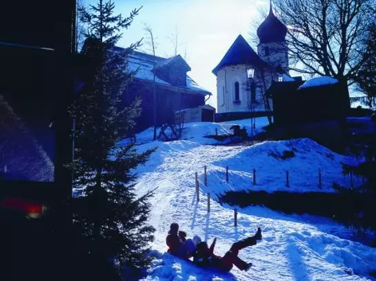 Отель Adler Damüls Gasthof