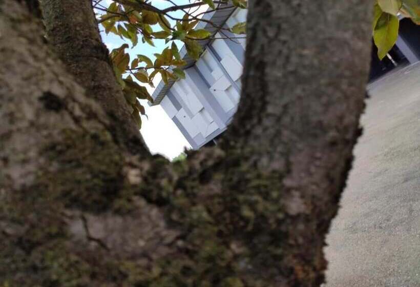 호텔 Albergo Aurora