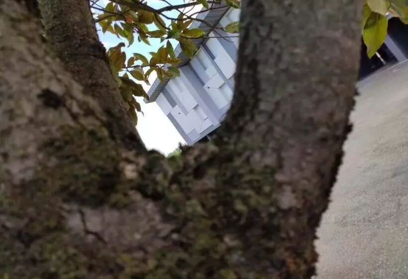 Szálloda Albergo Aurora