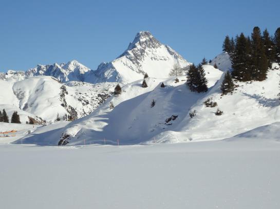 Pensão Gasthof Tannberg