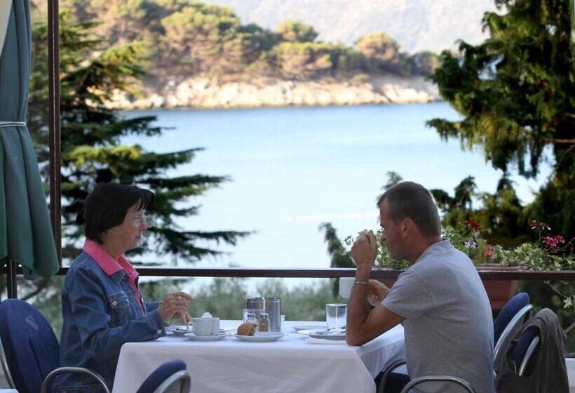 בית מלון כפרי Kimen