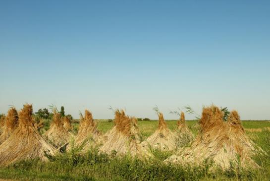 Bed and Breakfast Luka Pension