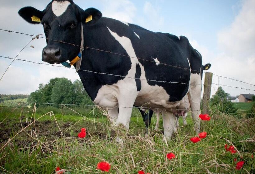 בית מלון כפרי Restaurant Vijlerhof