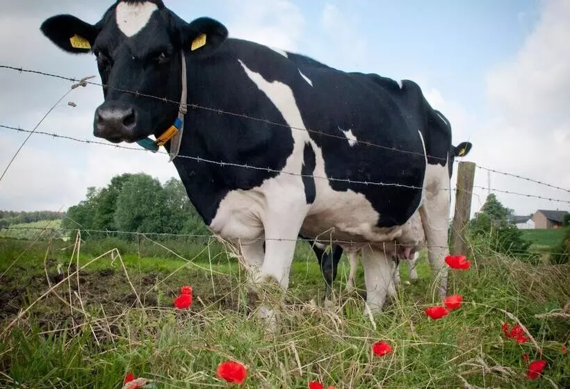 هتل Restaurant Vijlerhof