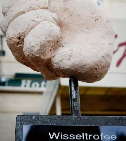 هتل Restaurant Vijlerhof