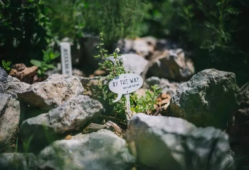 Отель Winzerhof Kiss