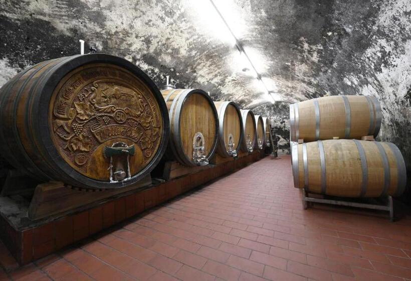 Отель Winzerhof Kiss