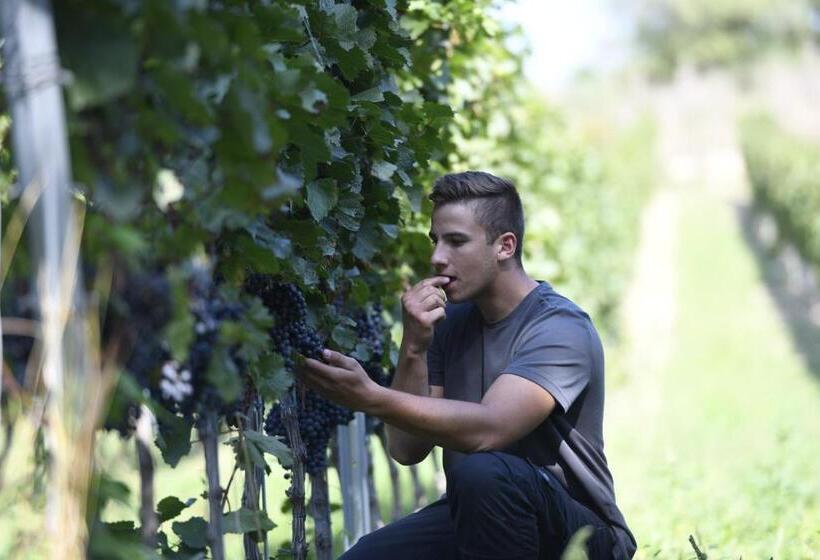 Отель Winzerhof Kiss