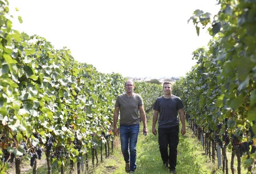 Отель Winzerhof Kiss