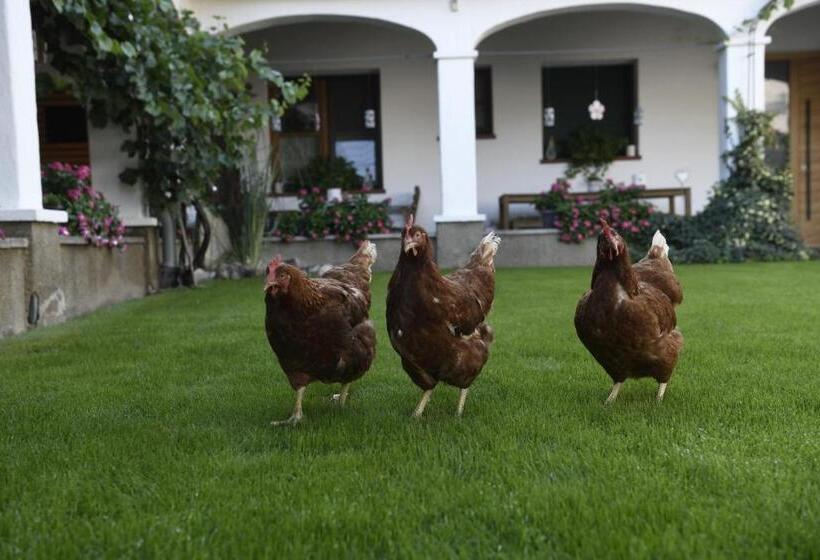 Отель Winzerhof Kiss