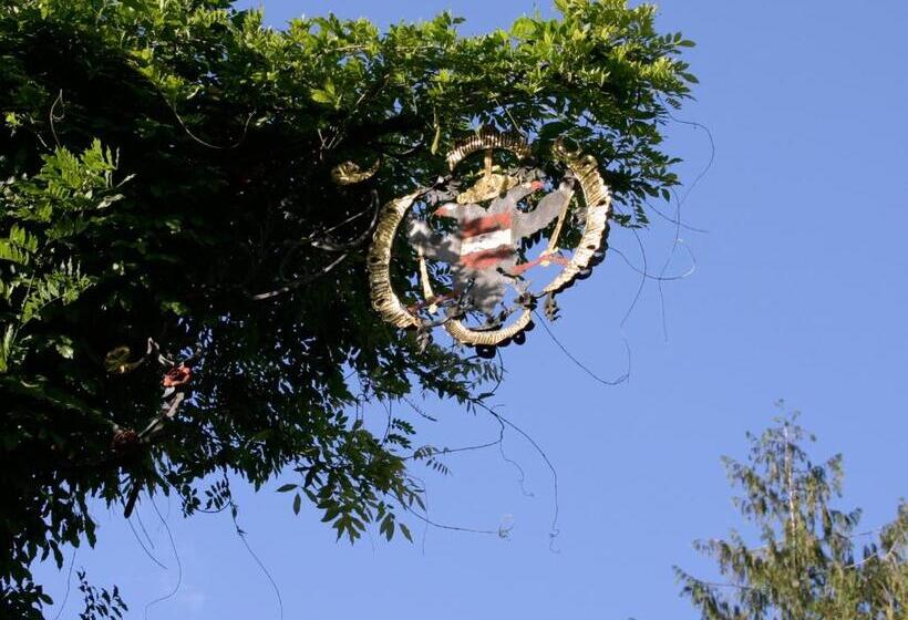 פנסיון Brauereigasthof Reiner