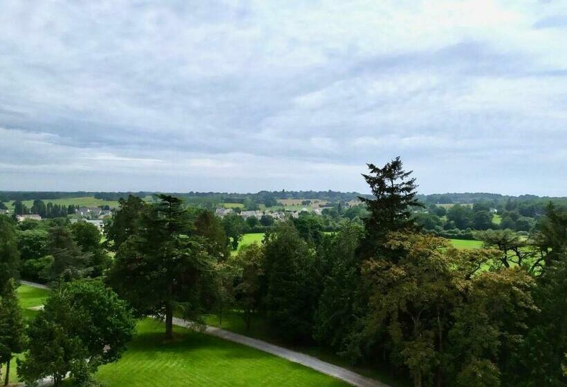 Château Xixème Pour 12 Pers, Parc 1.3ha, Chambres D époque, Proche Commerces, Laval Et Activités