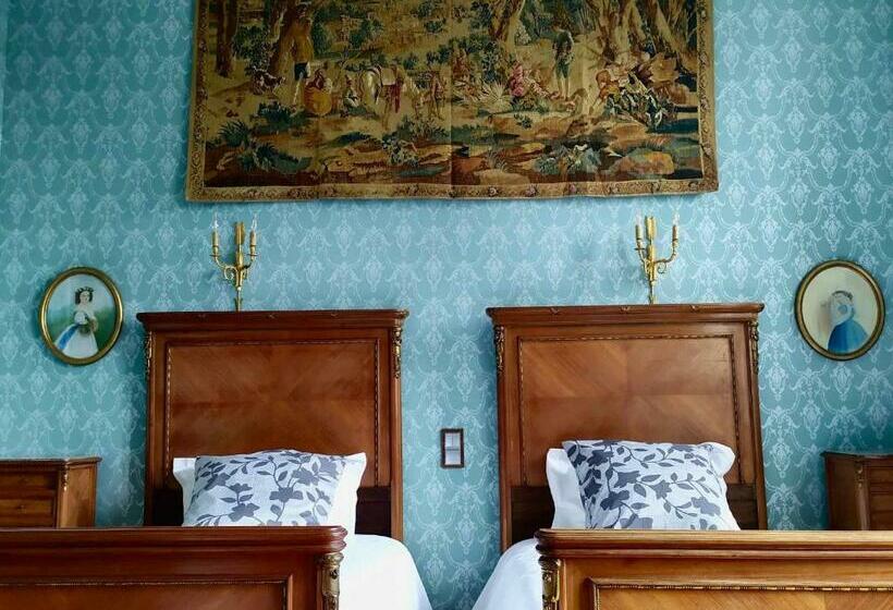 Château Xixème Pour 12 Pers, Parc 1.3ha, Chambres D époque, Proche Commerces, Laval Et Activités