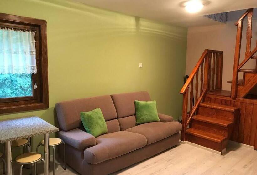 Roua   Apuseni Mountains