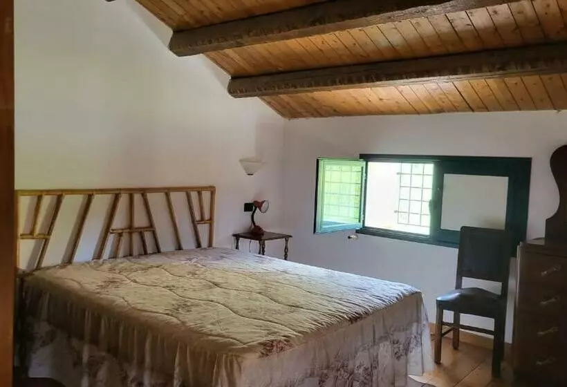 Terrenove