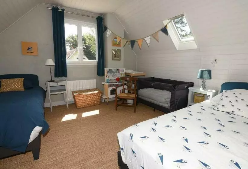 Les Pins Maison Vue Sur Mer