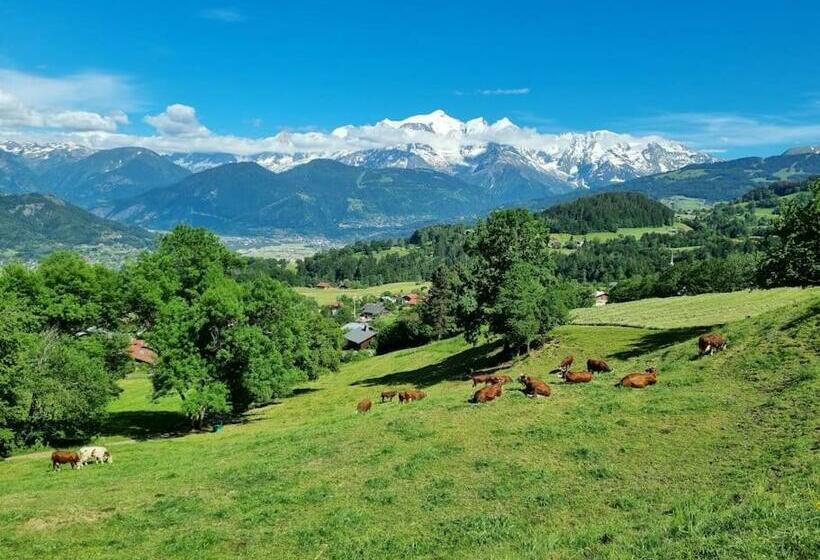 A Cordon Entre Bois Et Nature