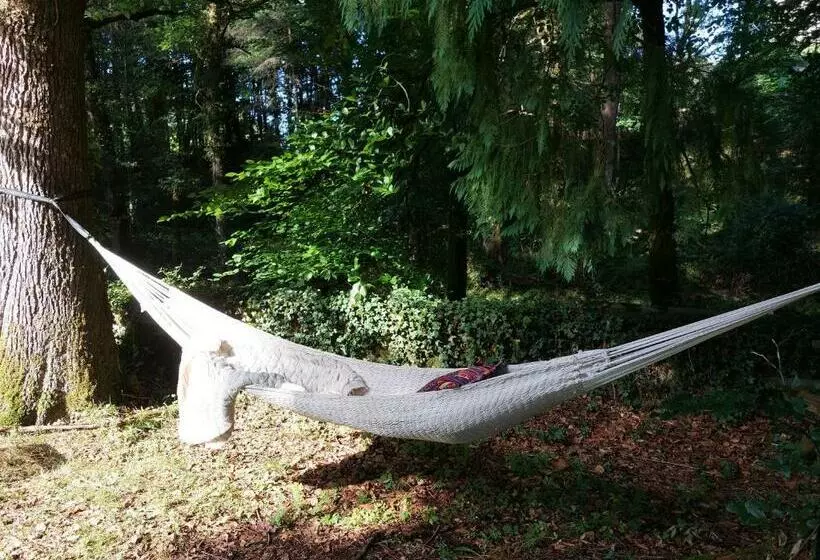 Dormir Au Bord De La Vézère