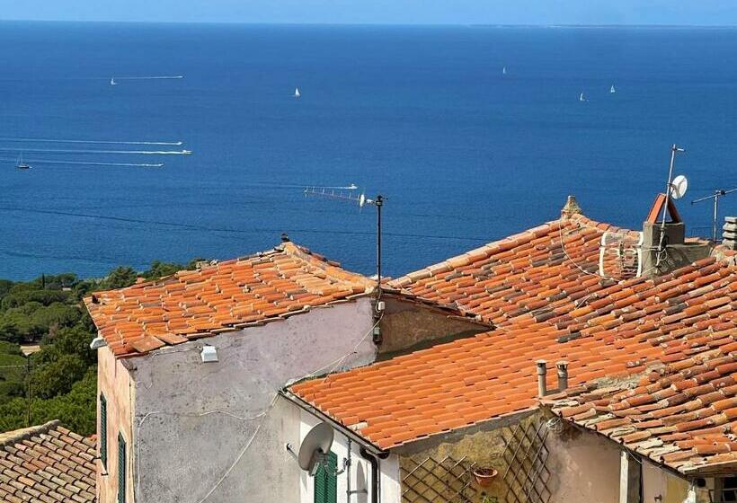 Latorretta By Solturelba Capoliveri