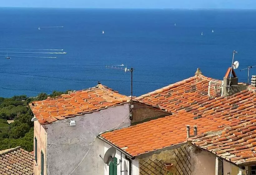 Latorretta By Solturelba Capoliveri