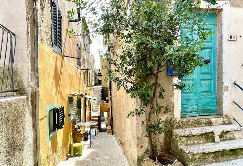 Latorretta By Solturelba Capoliveri