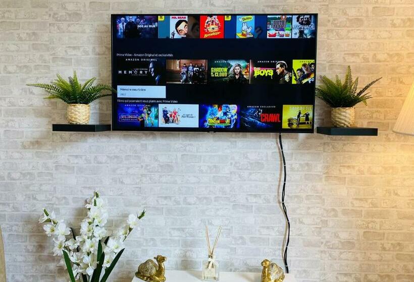 Jolie Studio Centre Ville