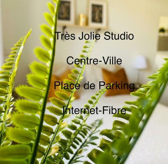 Jolie Studio Centre Ville